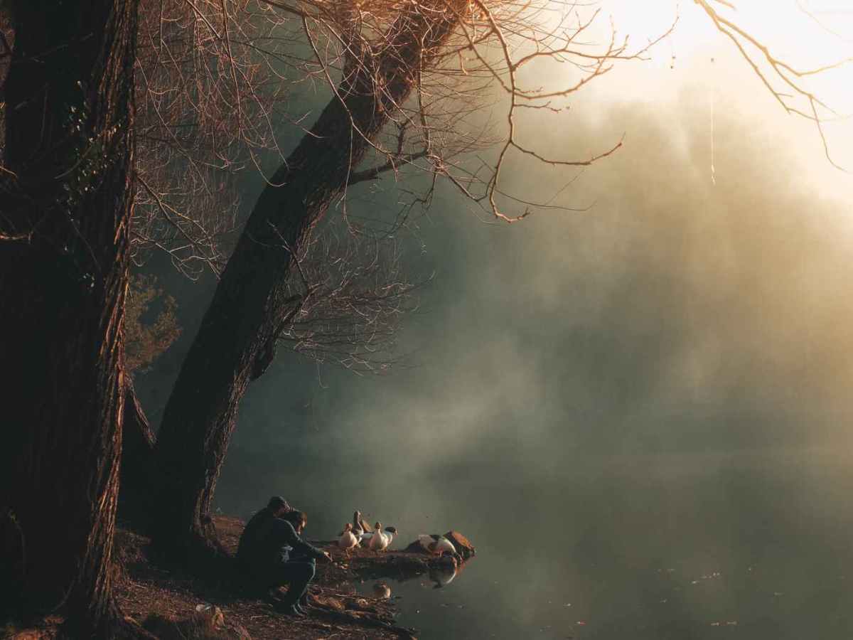 A new duck in the&nbsp;pond