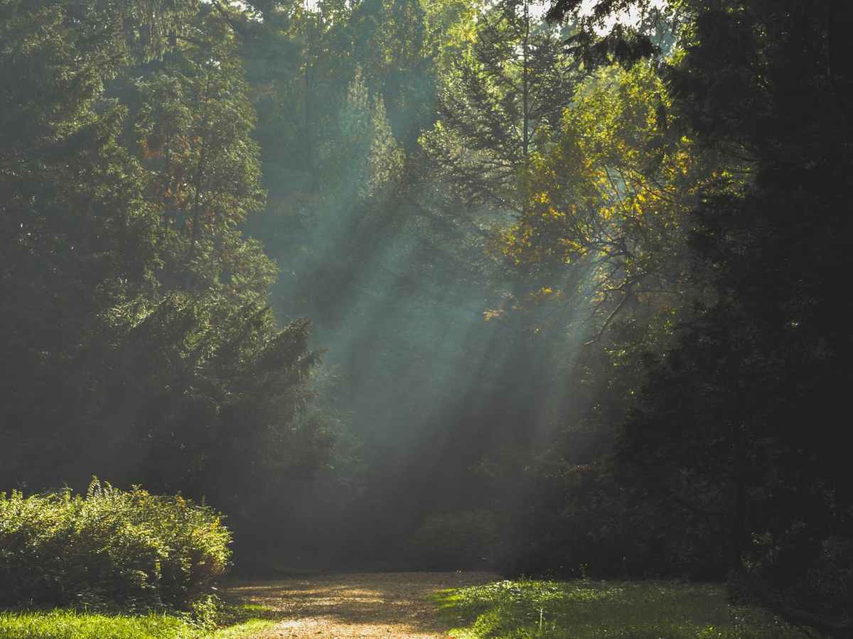 An artistic travel&nbsp;project